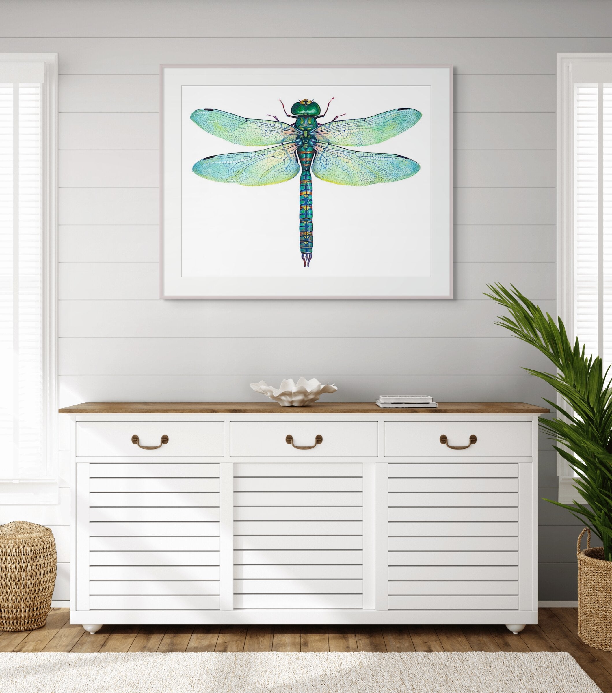 Green Dragonfly - Anax Junius