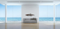 Cobia