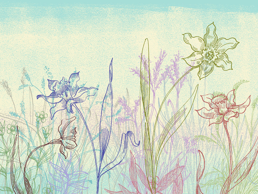 Abstract Plant Forms 12