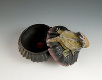 Miniature Toad Box