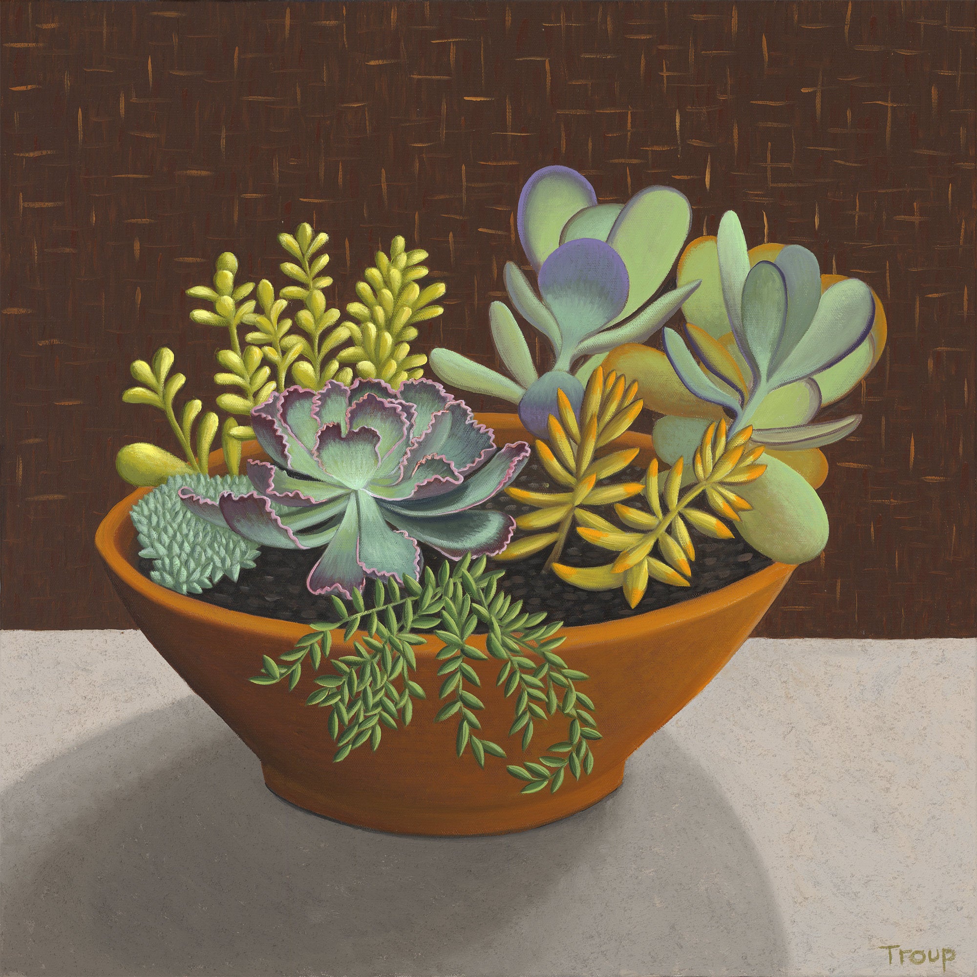 Succulents