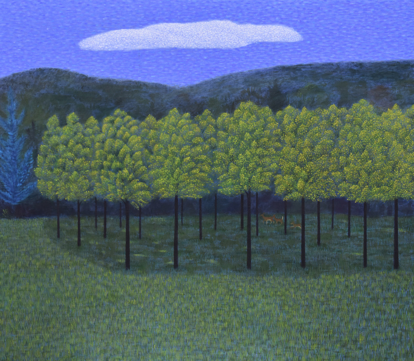 The Walnut Field