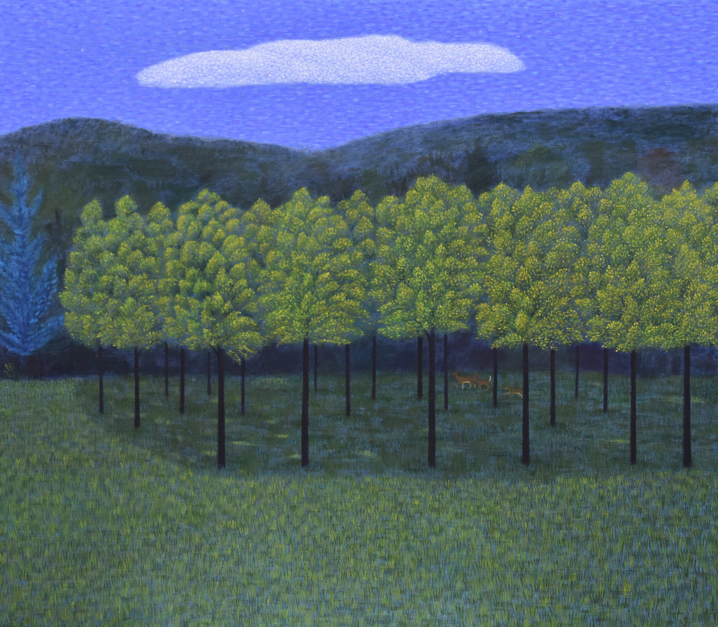 The Walnut Field