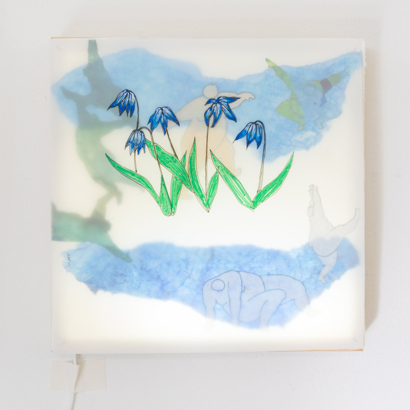 Scillia Illuminated Box