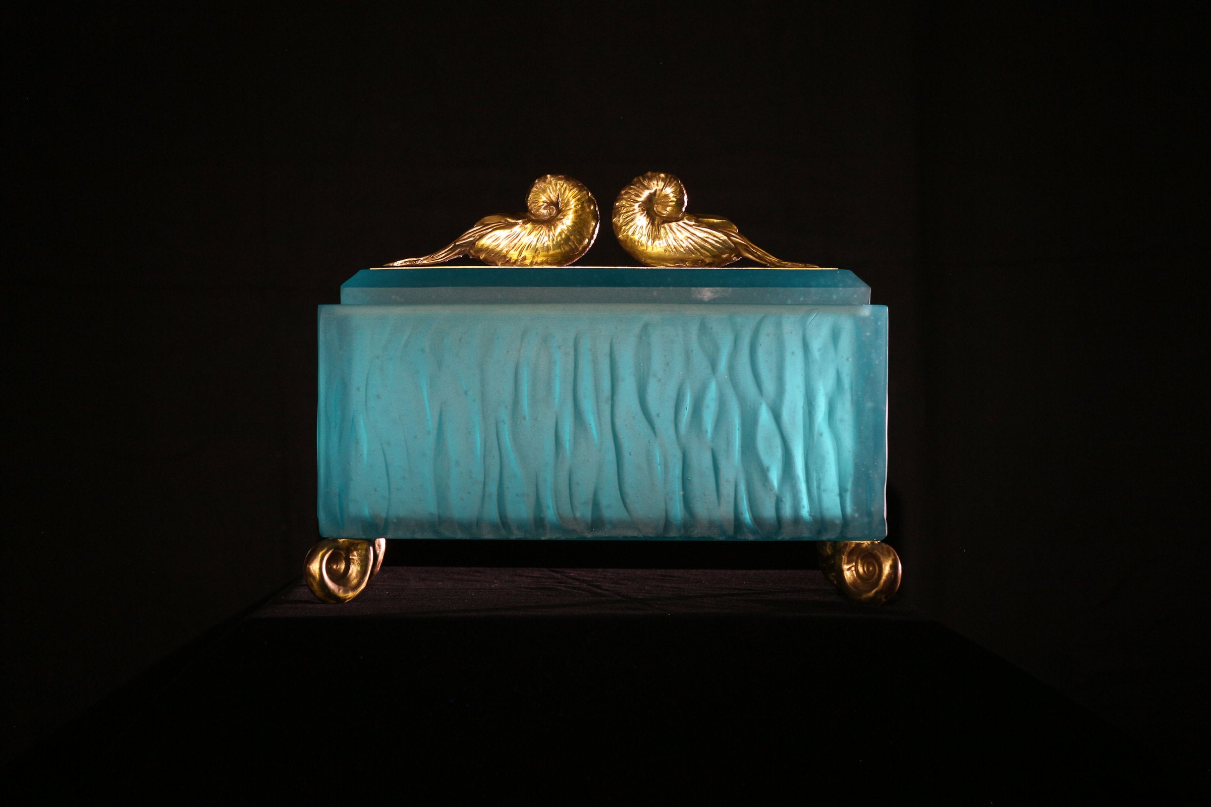 Nautilus Box with Bronze
