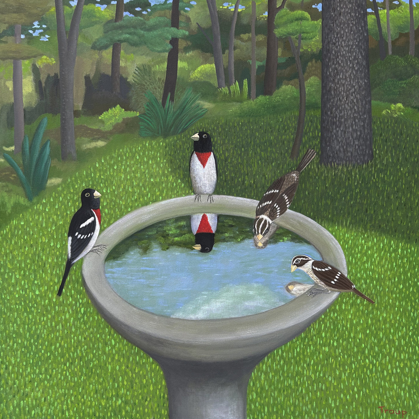 Rose-Breasted Grosbeaks