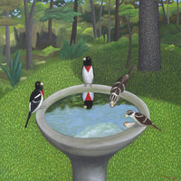 Rose-Breasted Grosbeaks