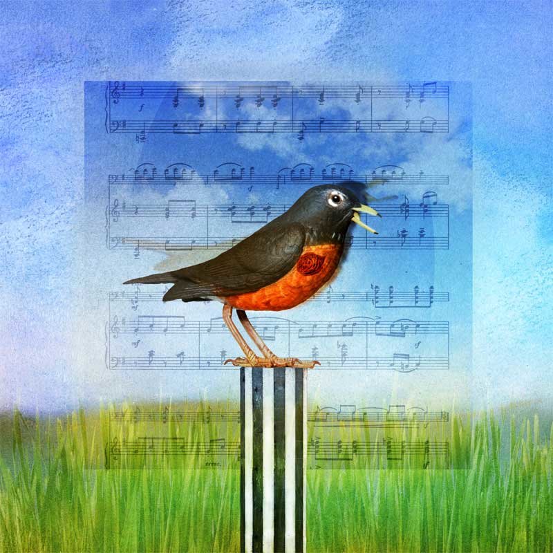 BirdSong