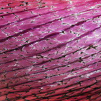 Opal Orchid Botanical Sphere