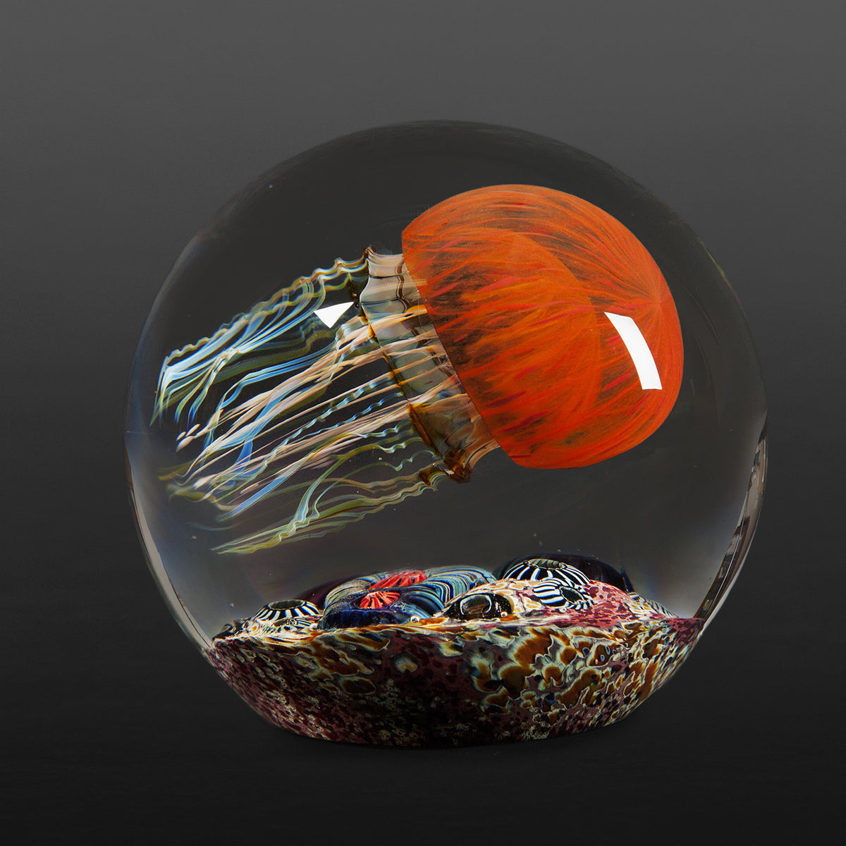 Magnum Pacific Coast Jellyfish Side Swimmer