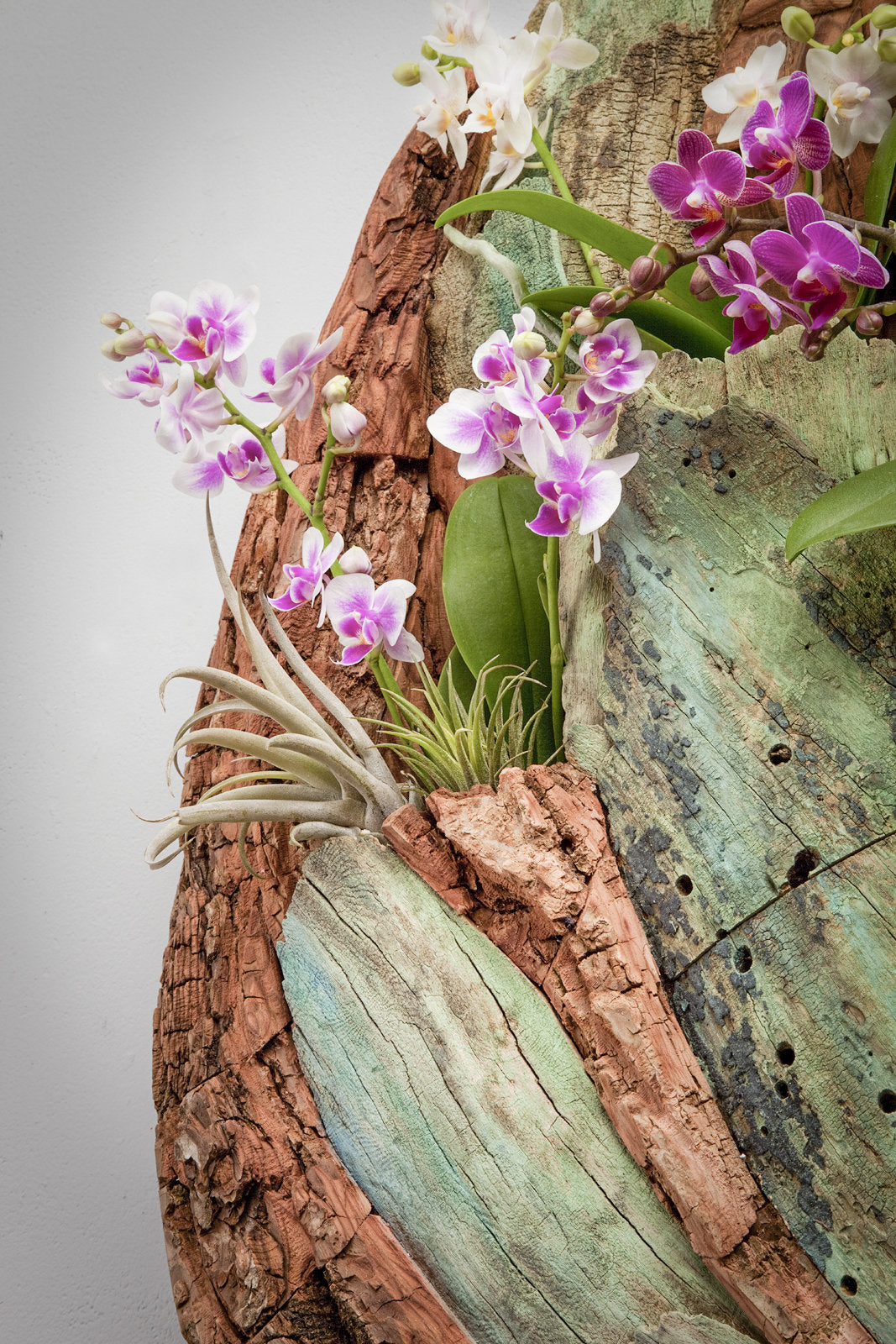 Root System Living Wall