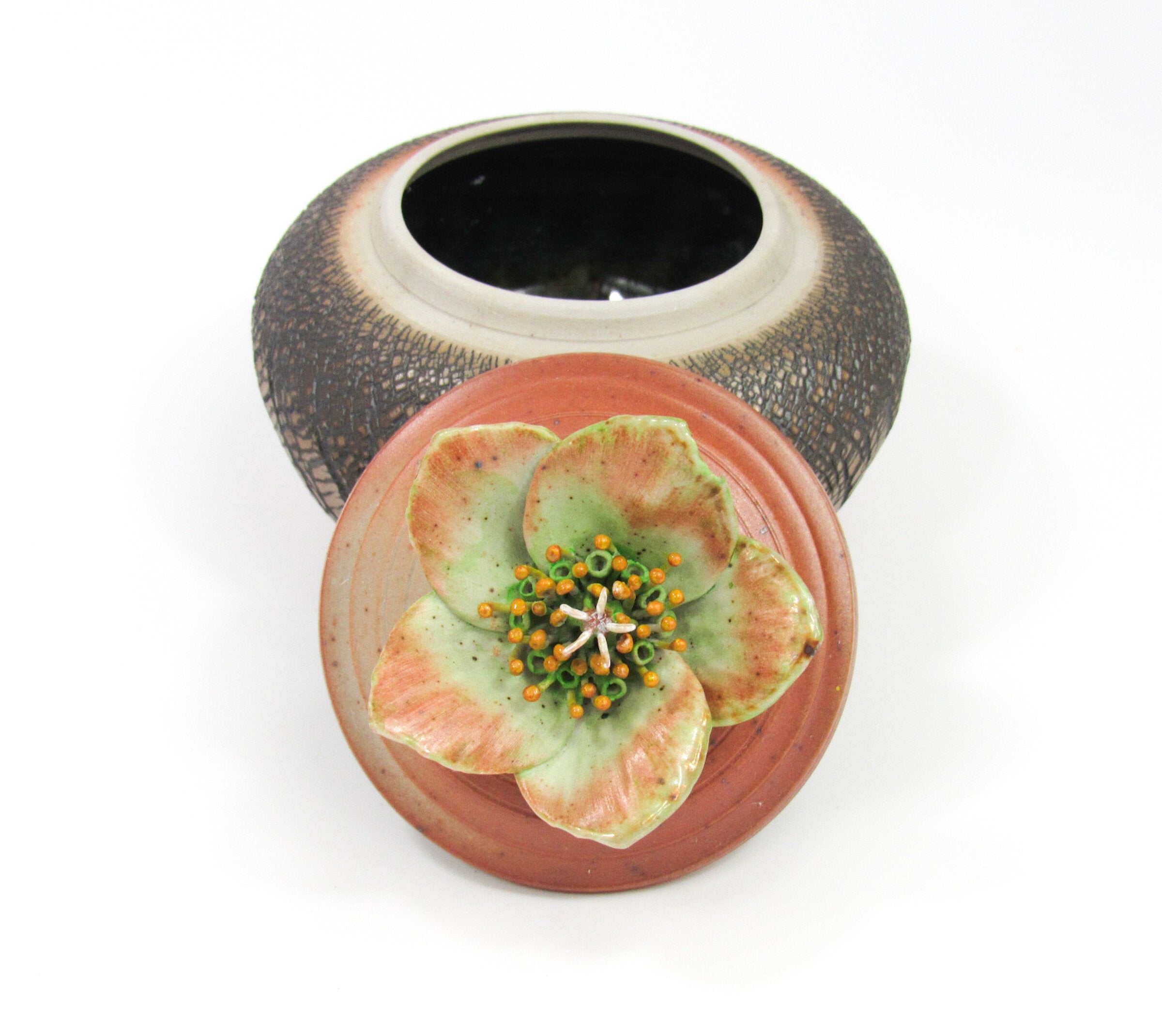 Hellebore