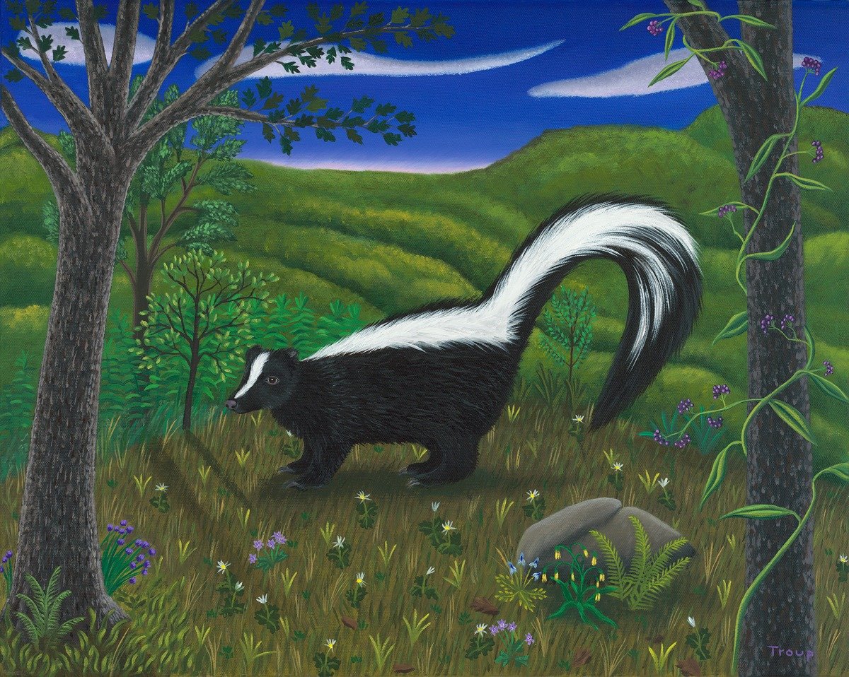 The Skunk