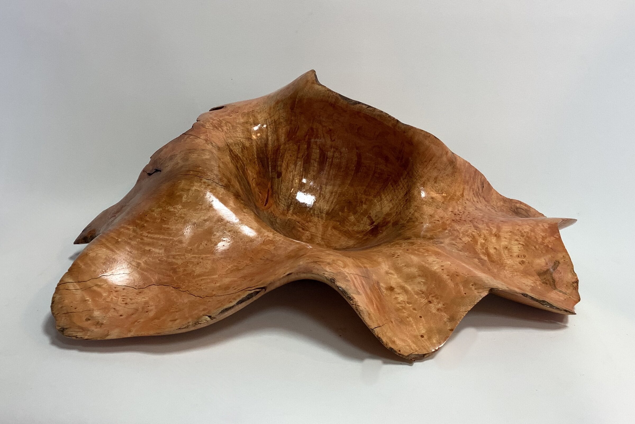 Box Elder Burl Funky Bowl