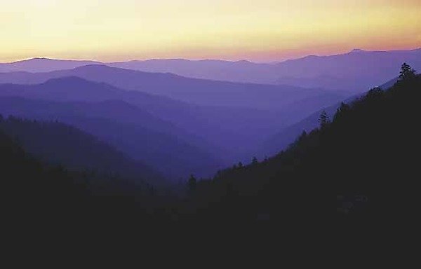 Dawn
