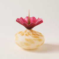 Ivory Urchin