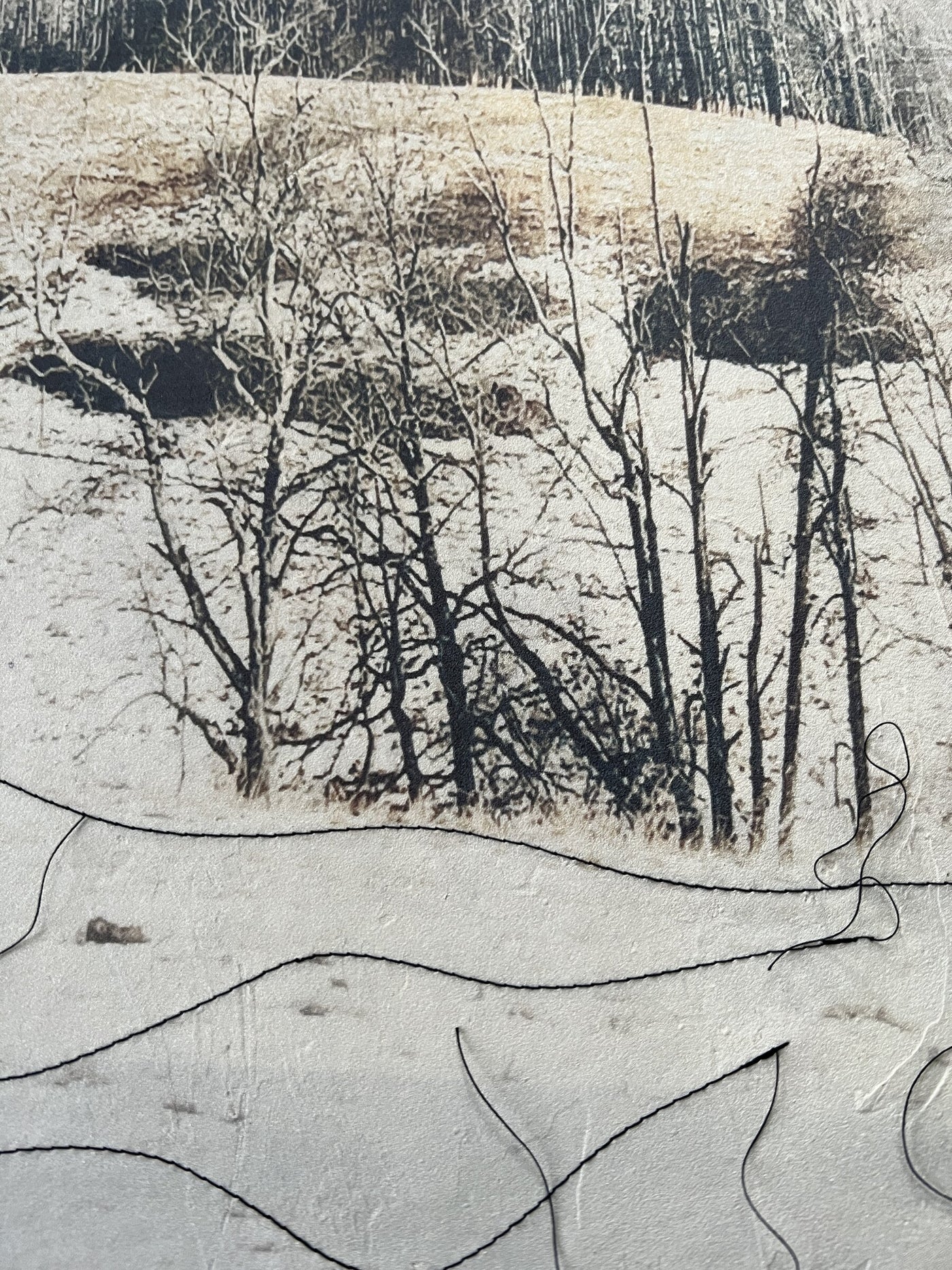 Silence of the Snow