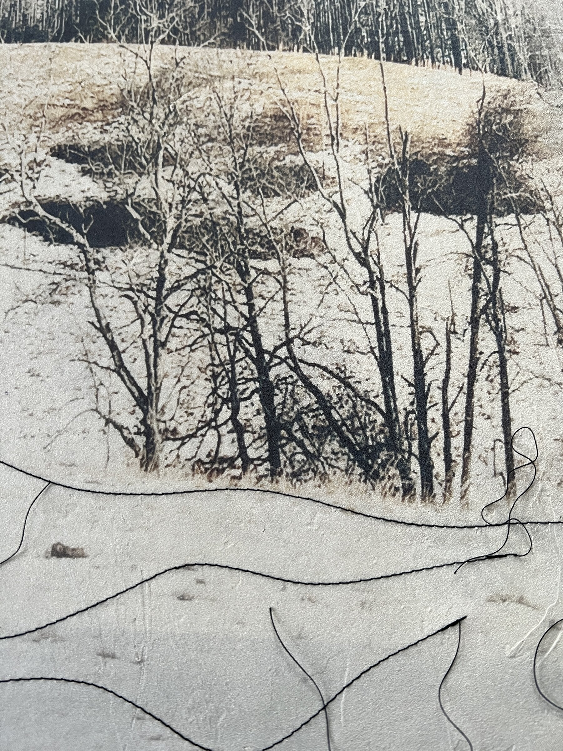 Silence of the Snow