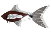 Cobia