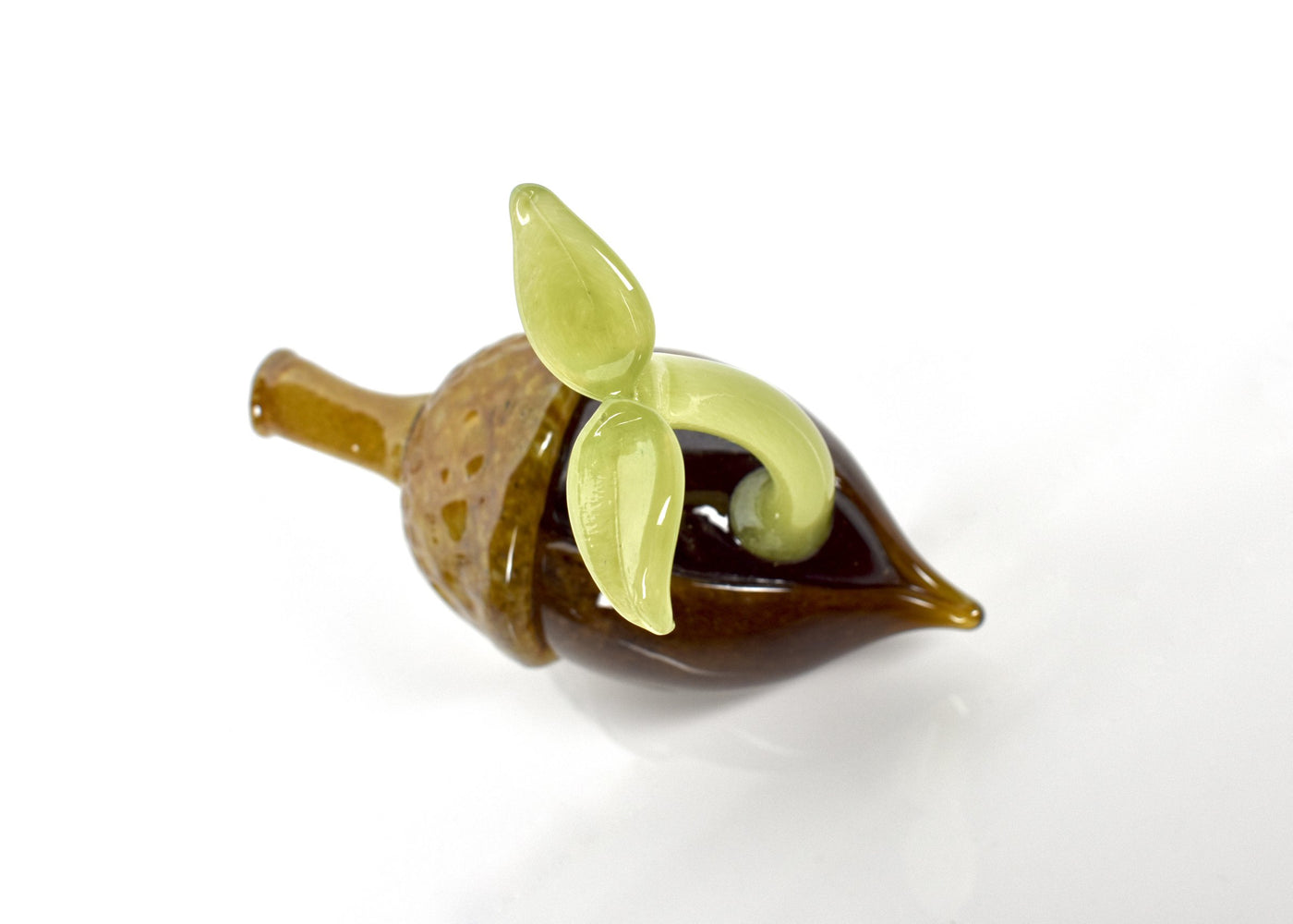 Acorn Sprout