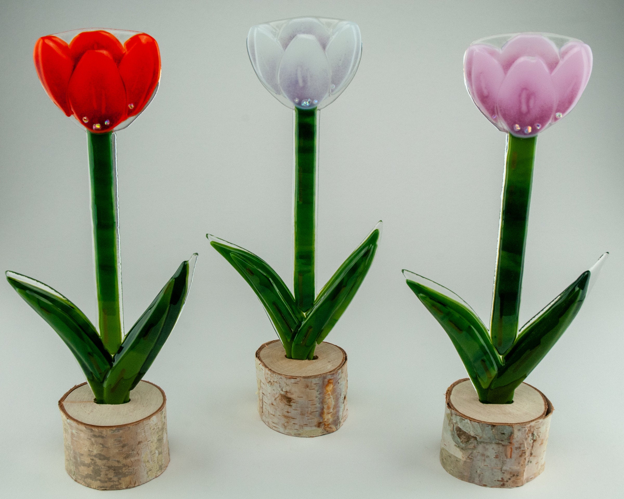 Tulip Patch