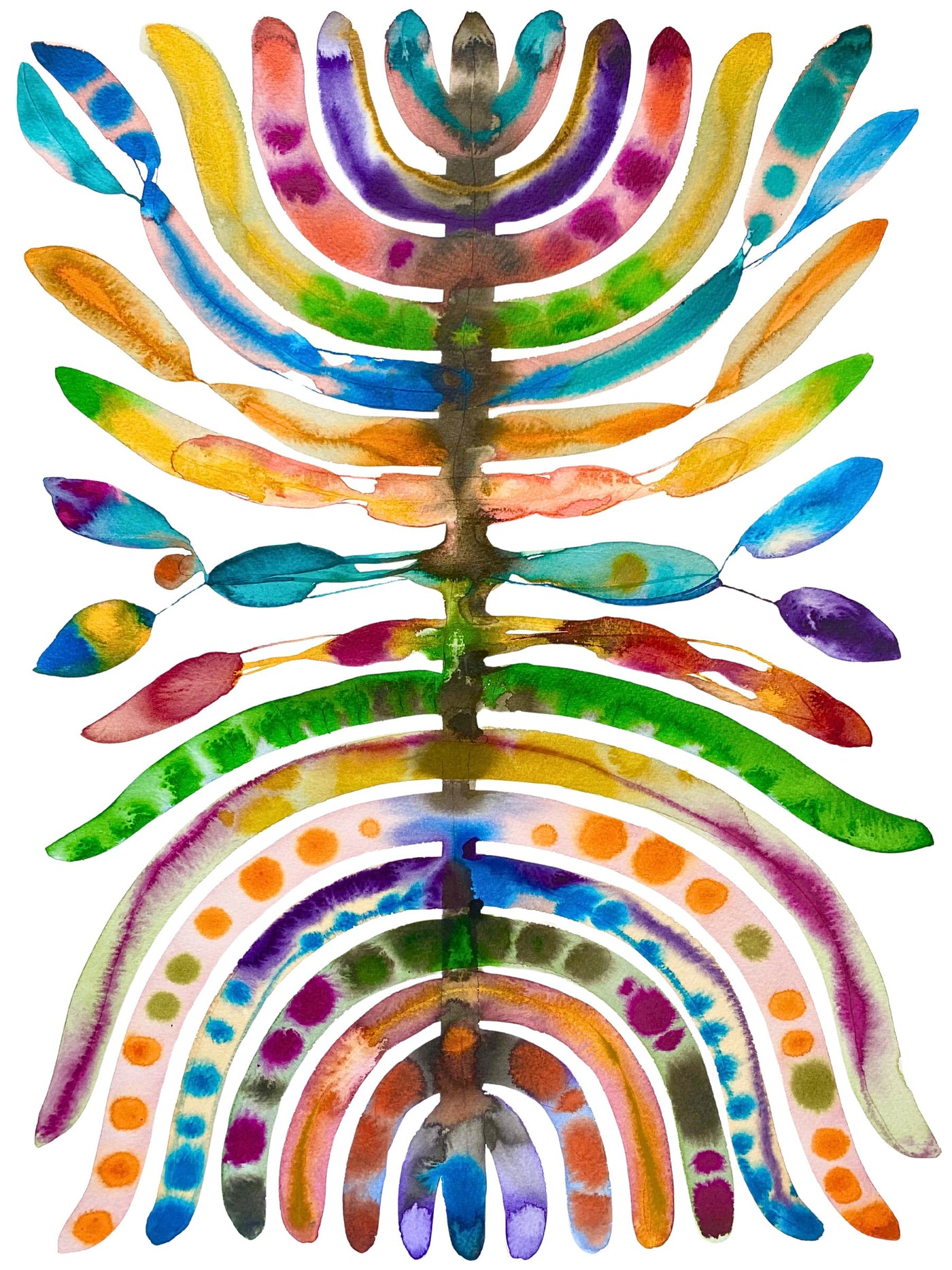 Geosternum 2