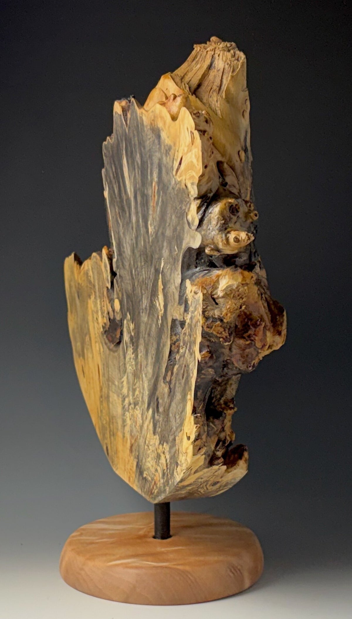 Display Piece Fashioned from Buckeye Burl