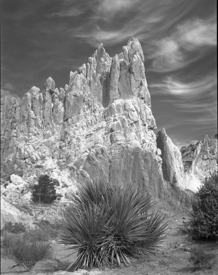 Along the Cottonwood Trail