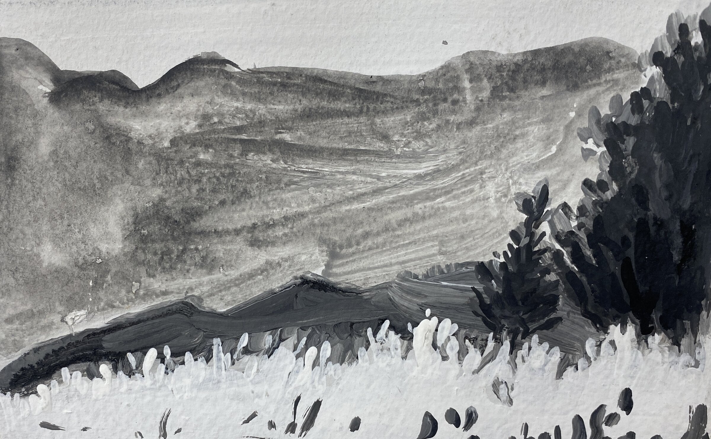 Landscape Study One