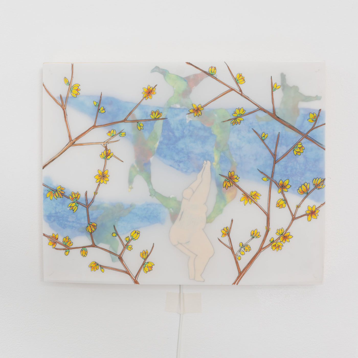 Winter Jasmine Illuminated Box