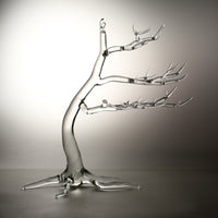 Winter Winds