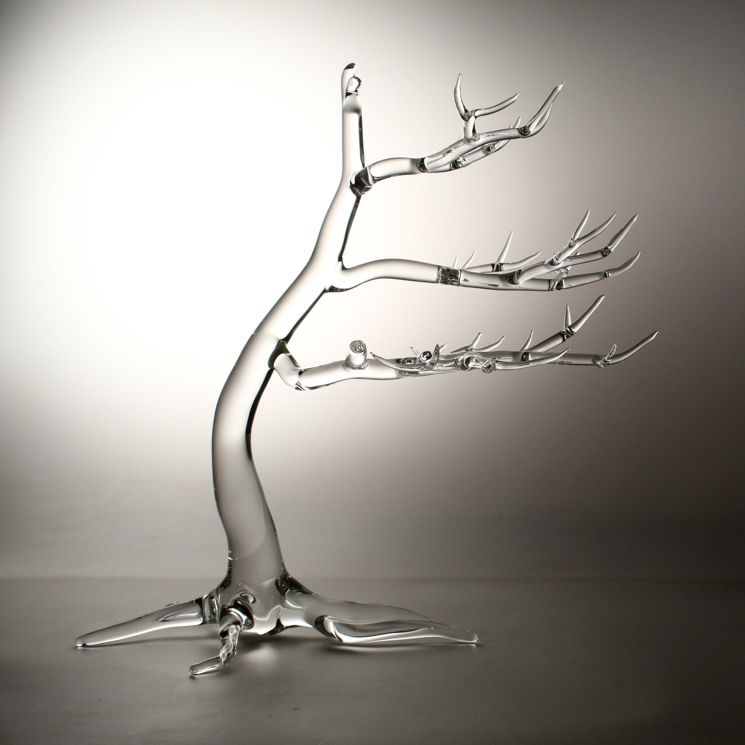 Winter Winds