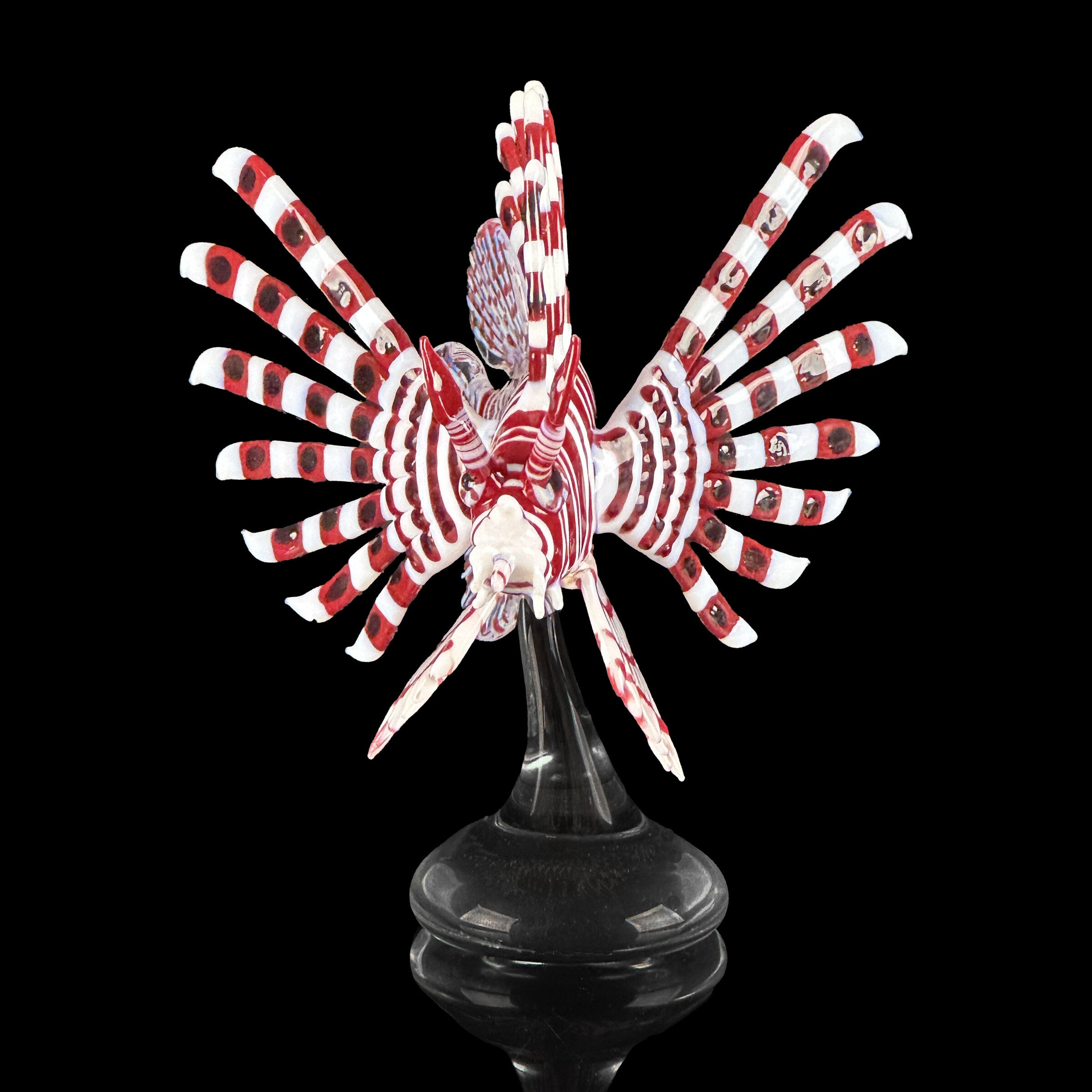 Red Lionfish