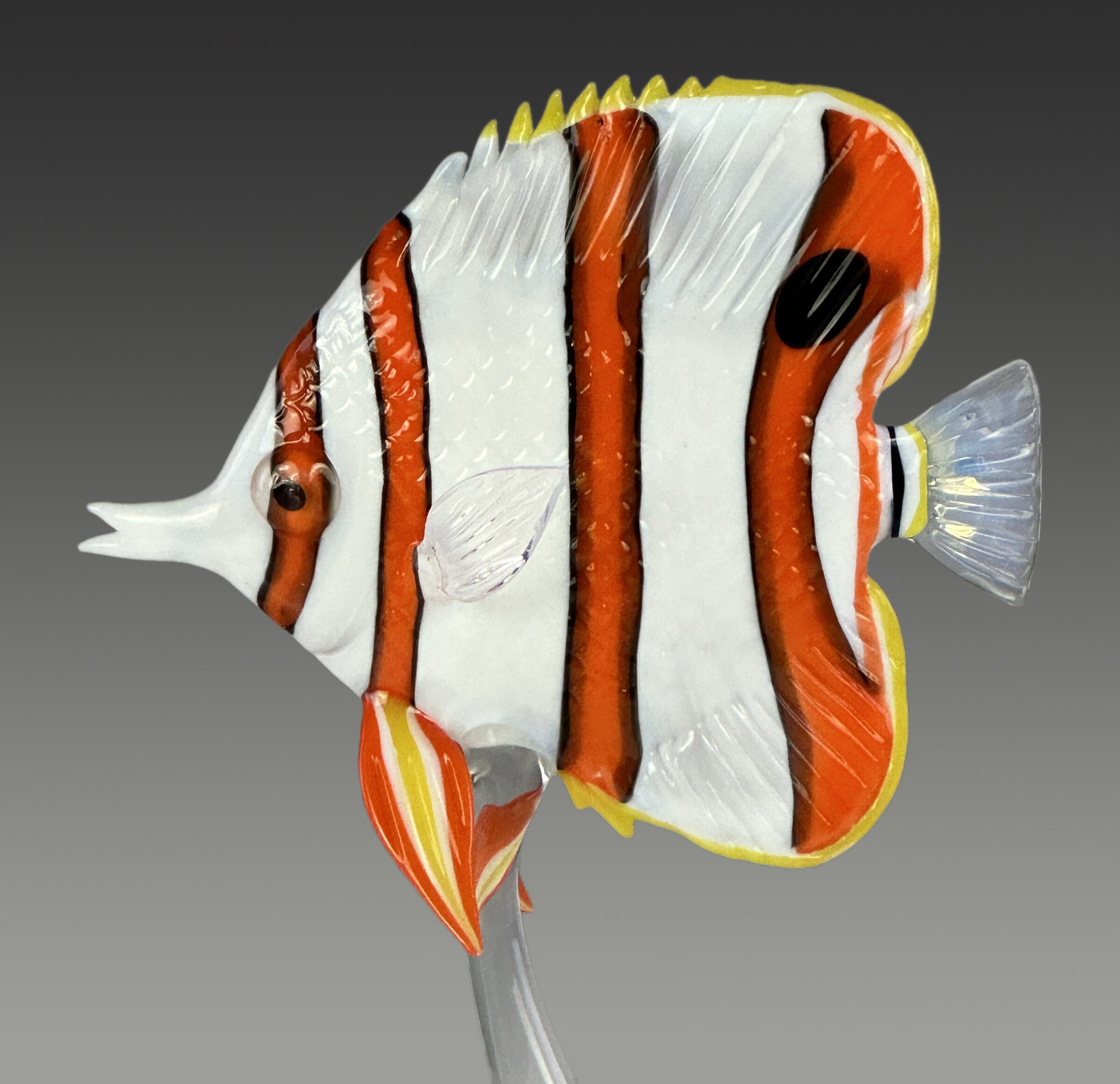 Copperband Butterflyfish II