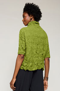 Fern