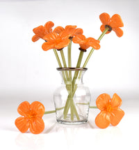Forever Poppy Bouquet in Clear Bottle