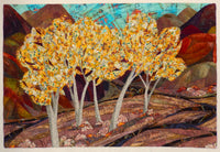 Canyon Symphony