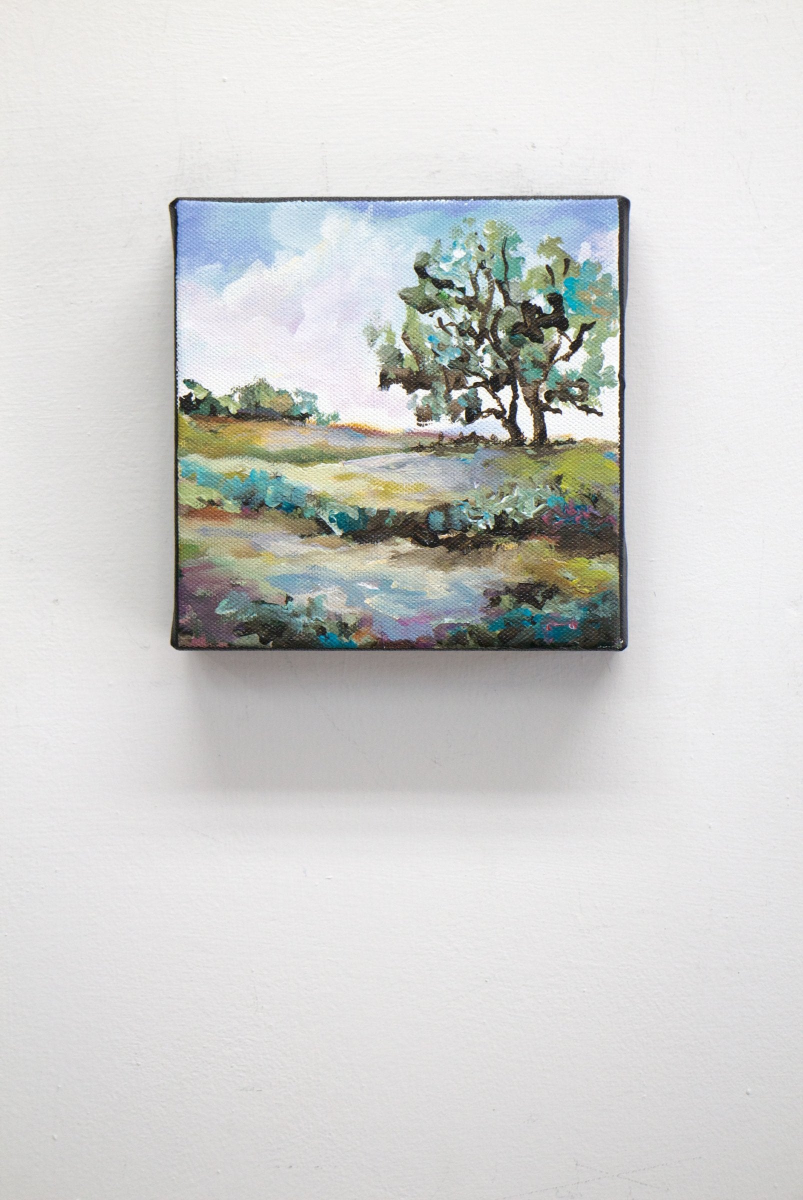 Rural View