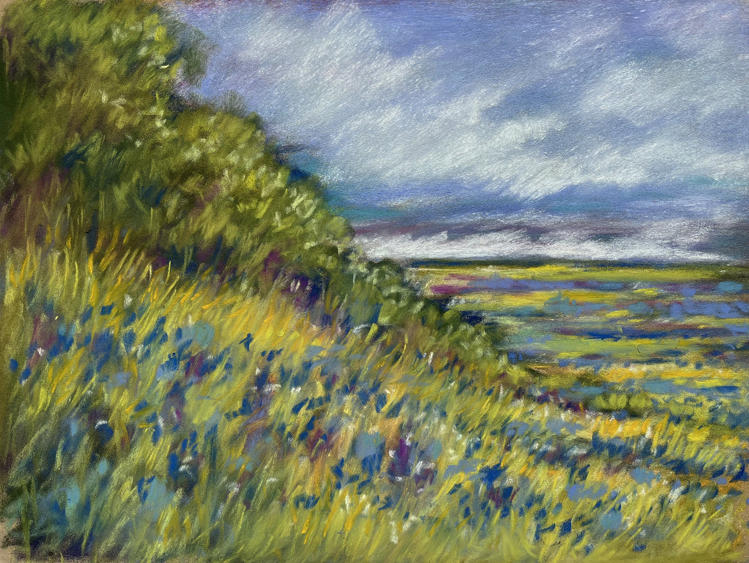 Blue Bonnet Hill