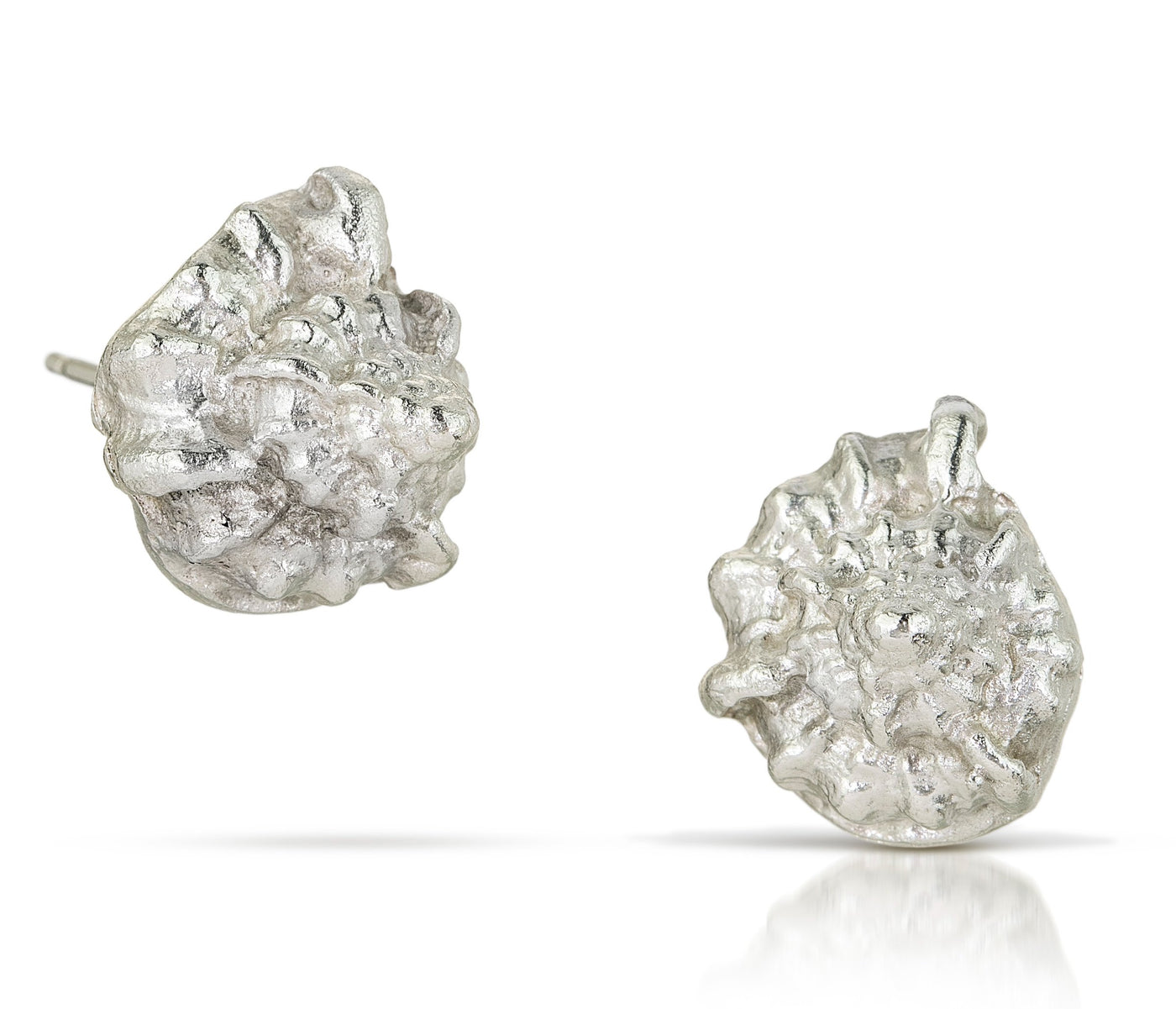 Sea Shell Earrings