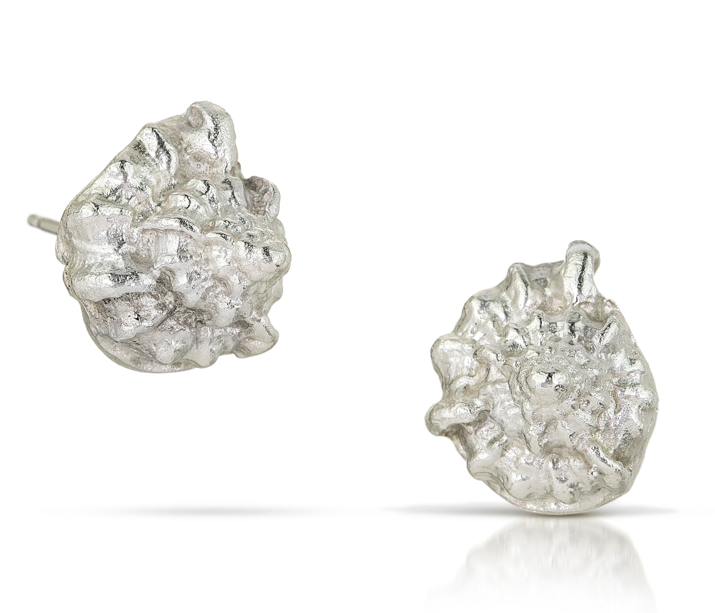 Sea Shell Earrings