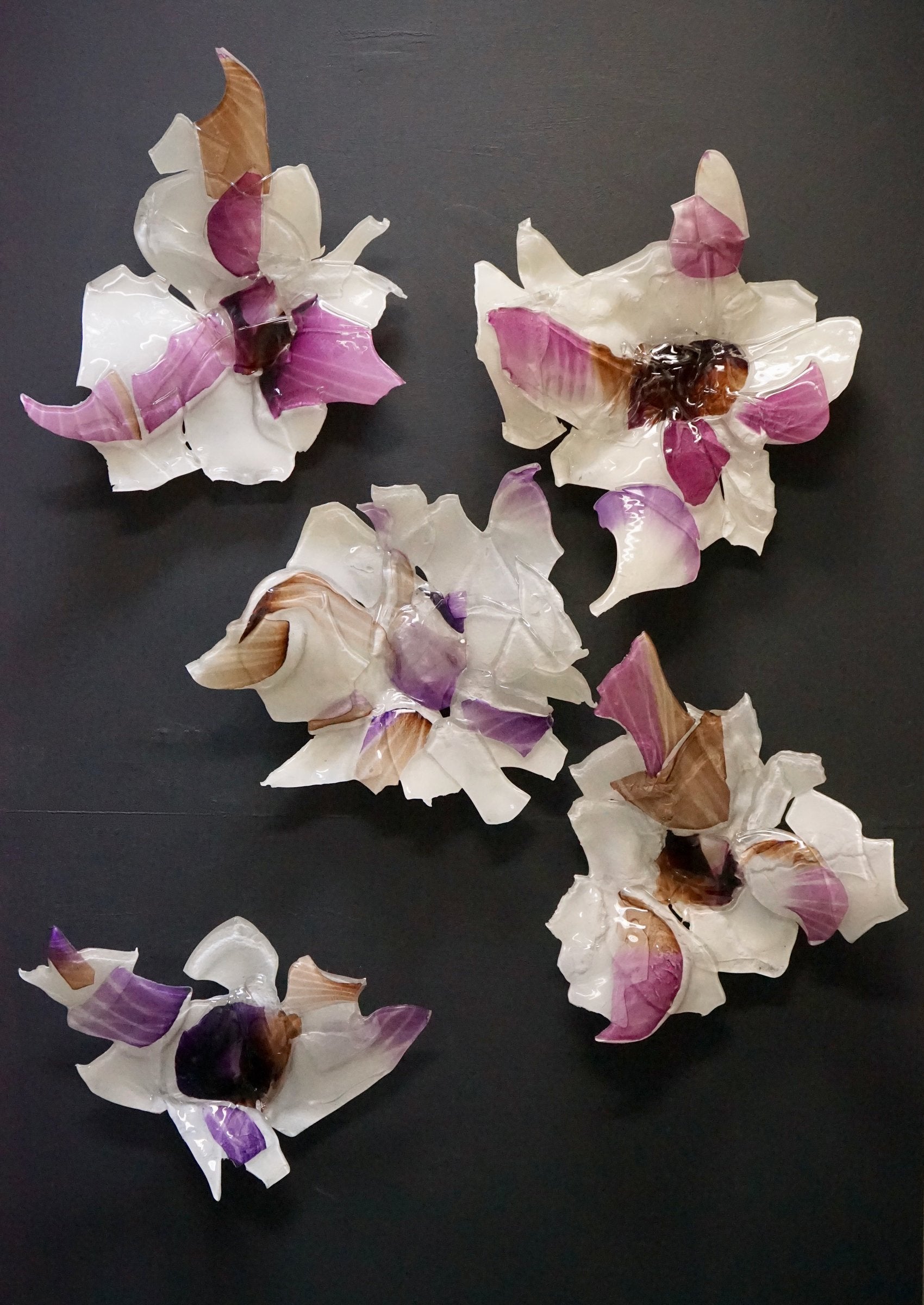 Set of Five Wallflowers