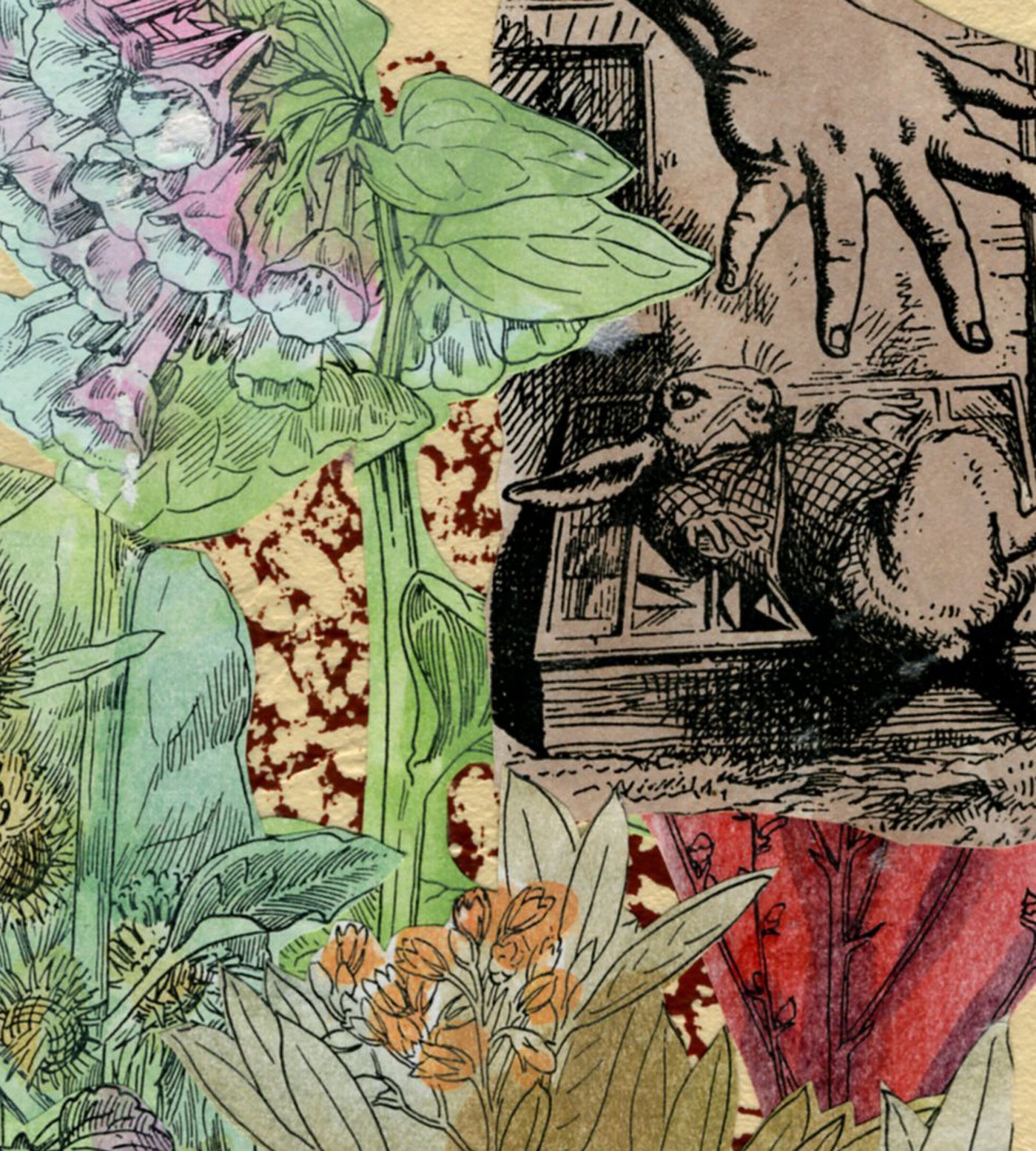 Down the Rabbit Hole