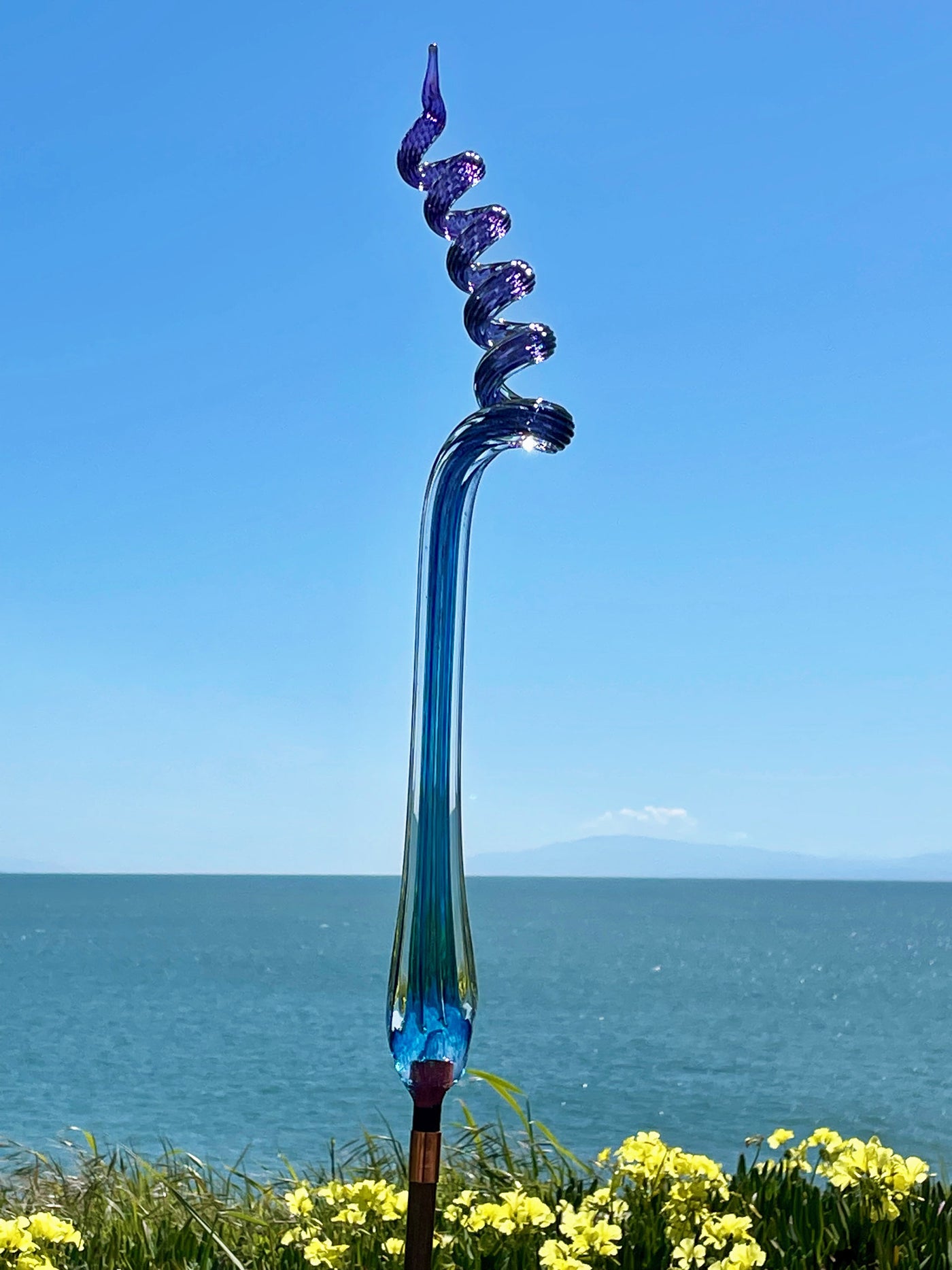 Aqua/Purple
