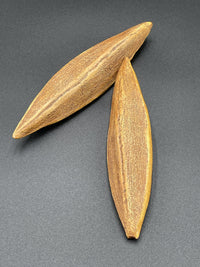 Seeds of Change, Grouping 7