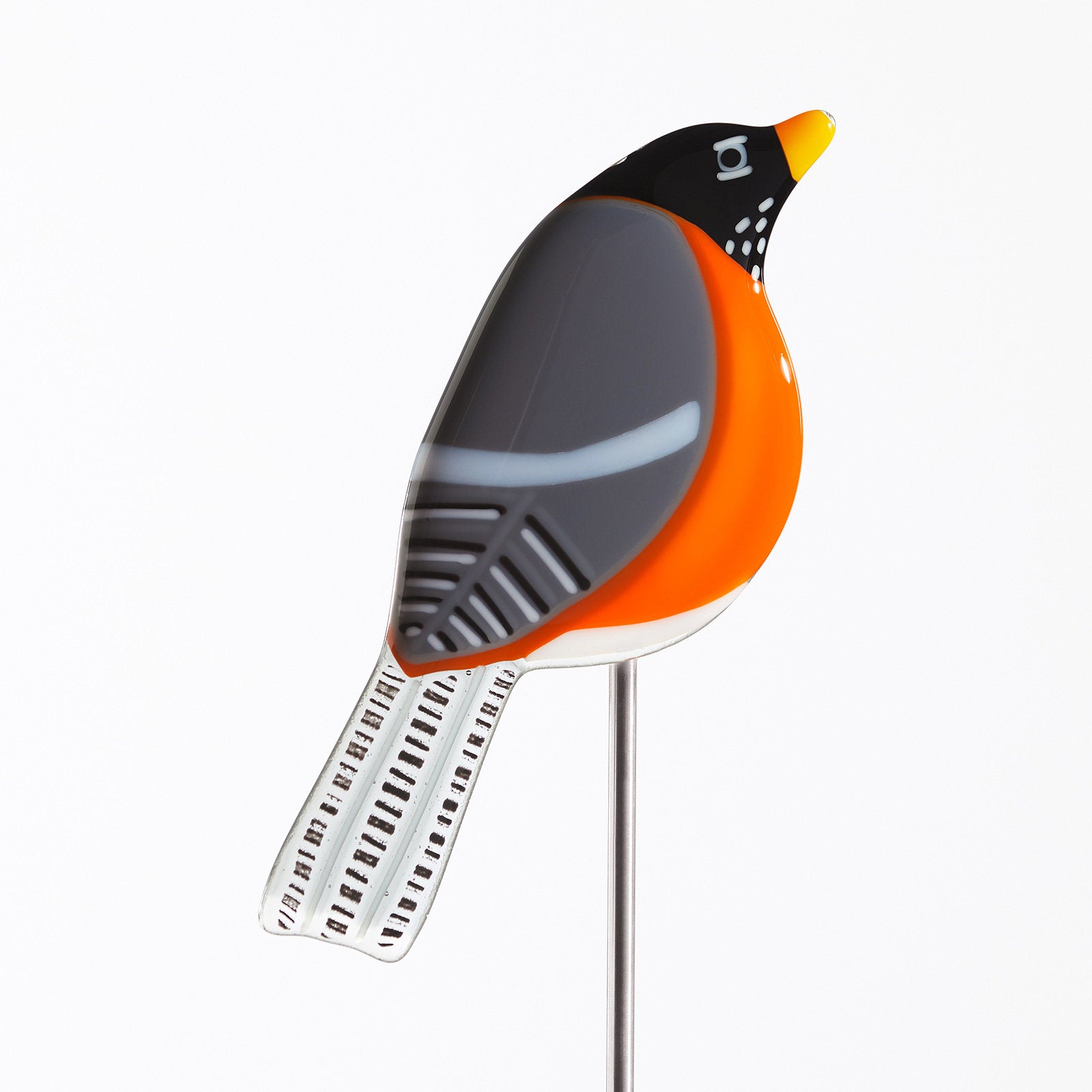 robin
