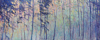 Forest Sequence I