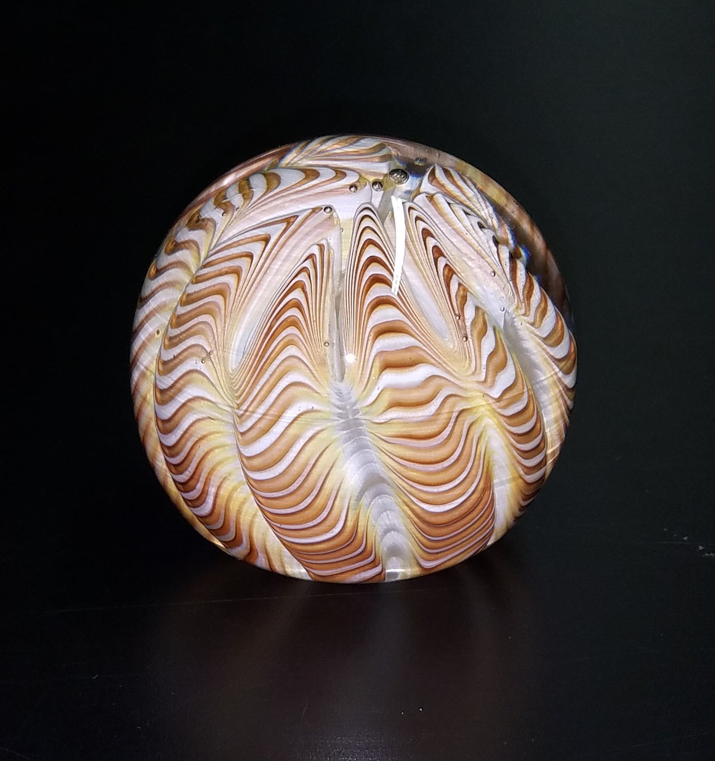 Earthtone Urchin