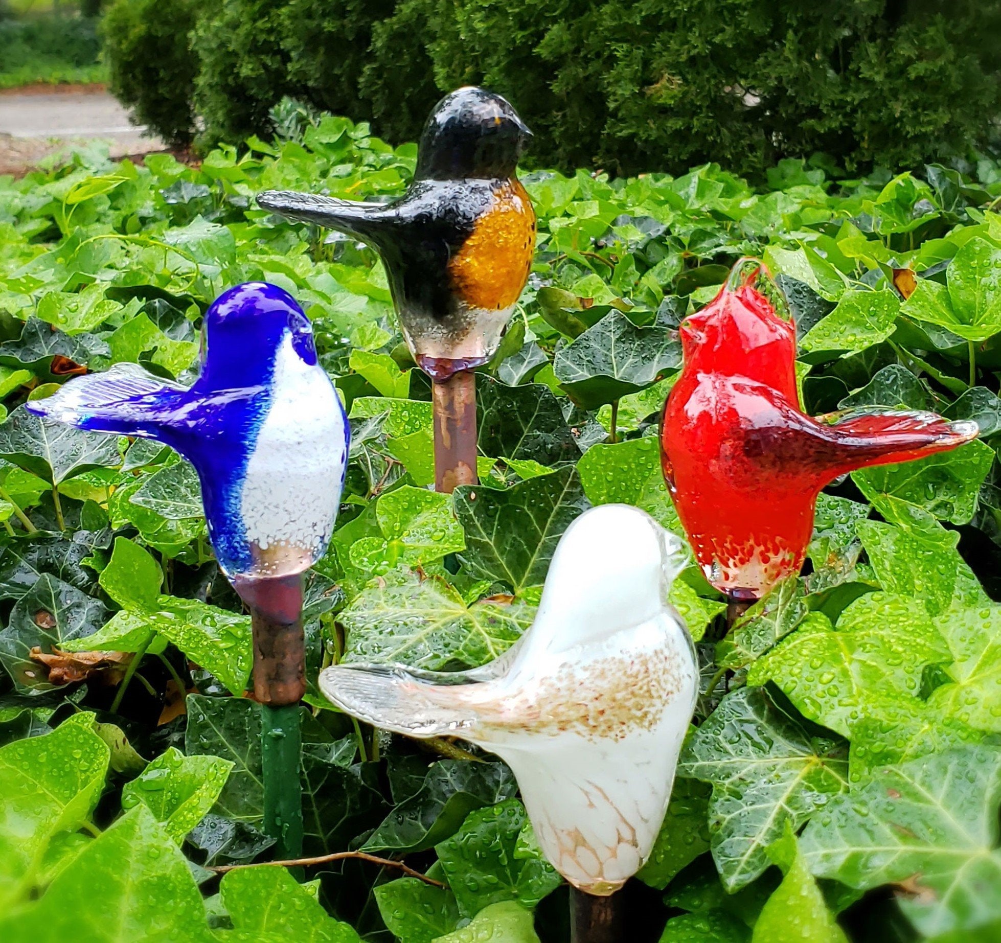 Birds of Beauty for the Garden