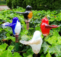 Birds of Beauty for the Garden